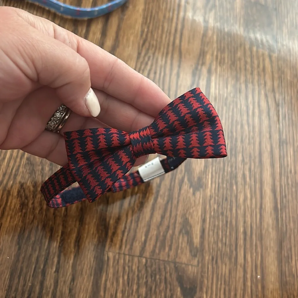 Janie and Jack boys bowtie